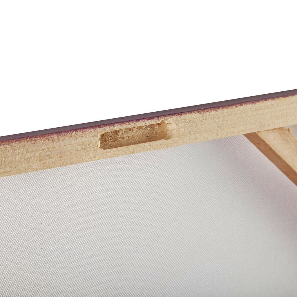 8420327518446_S3410288_P41