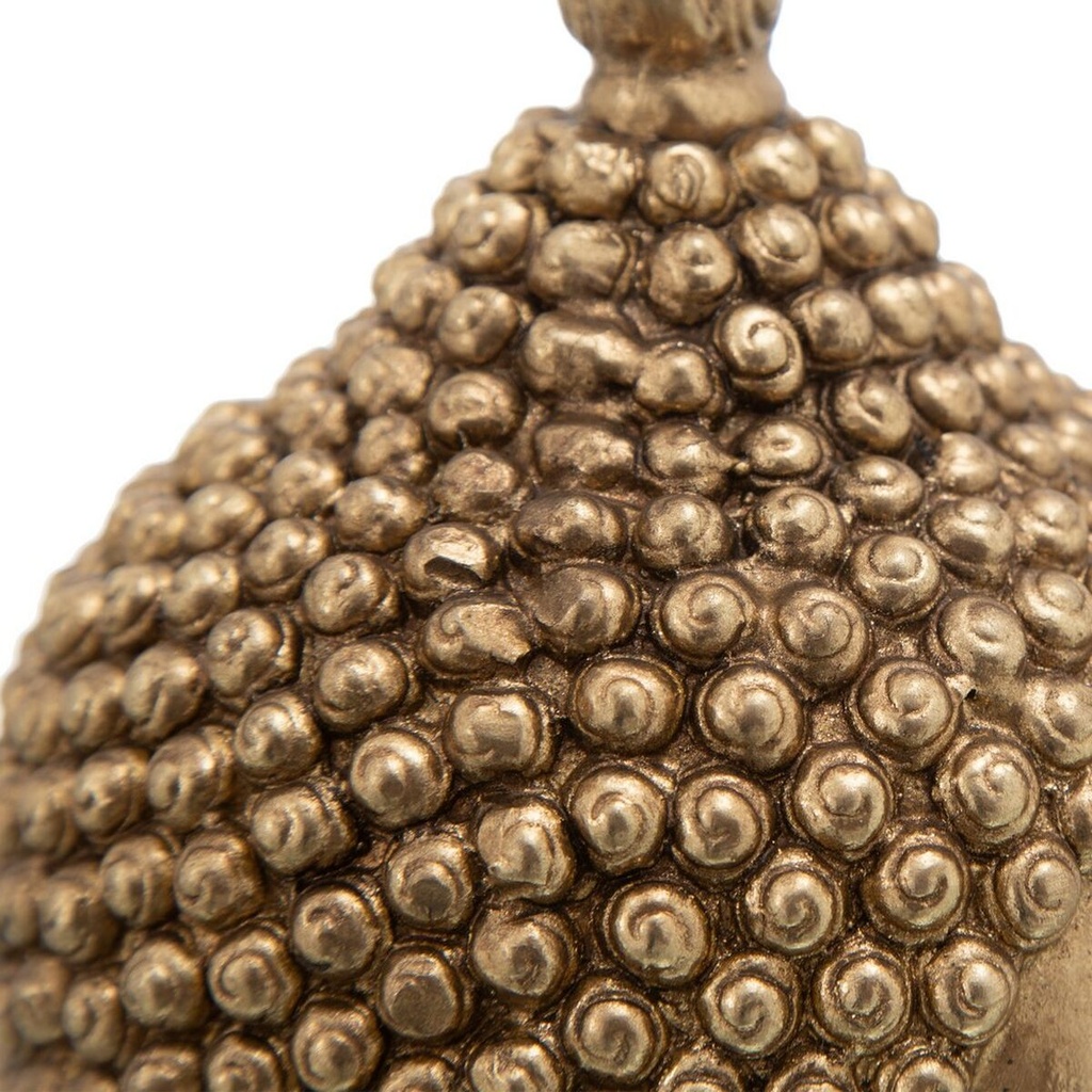 8445146027412_S8800819_P51