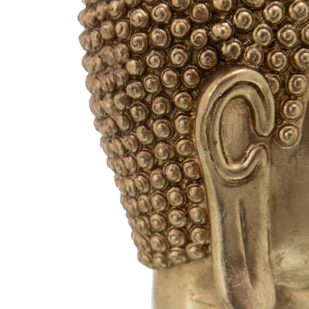 8445146027412_S8800819_P41