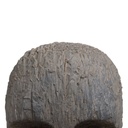 8424346540488_S8800343_P11