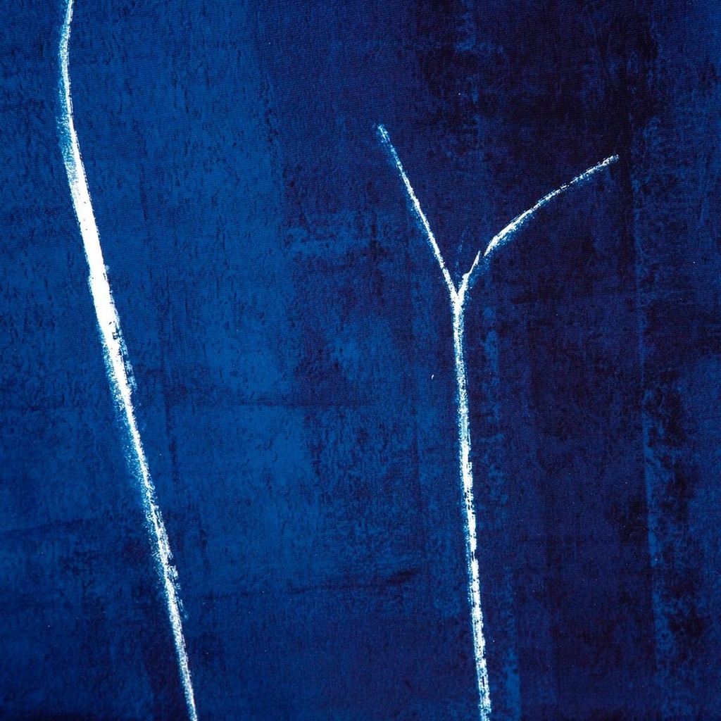8445146016263_S8800597_P60