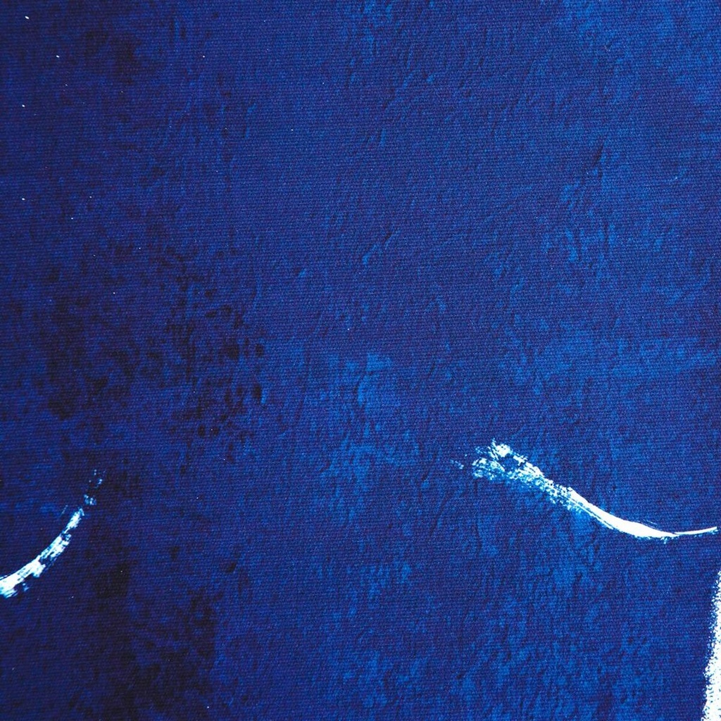 8445146016263_S8800597_P40