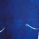 8445146016263_S8800597_P40