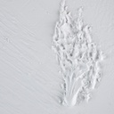 8445146050915_S8801571_P51