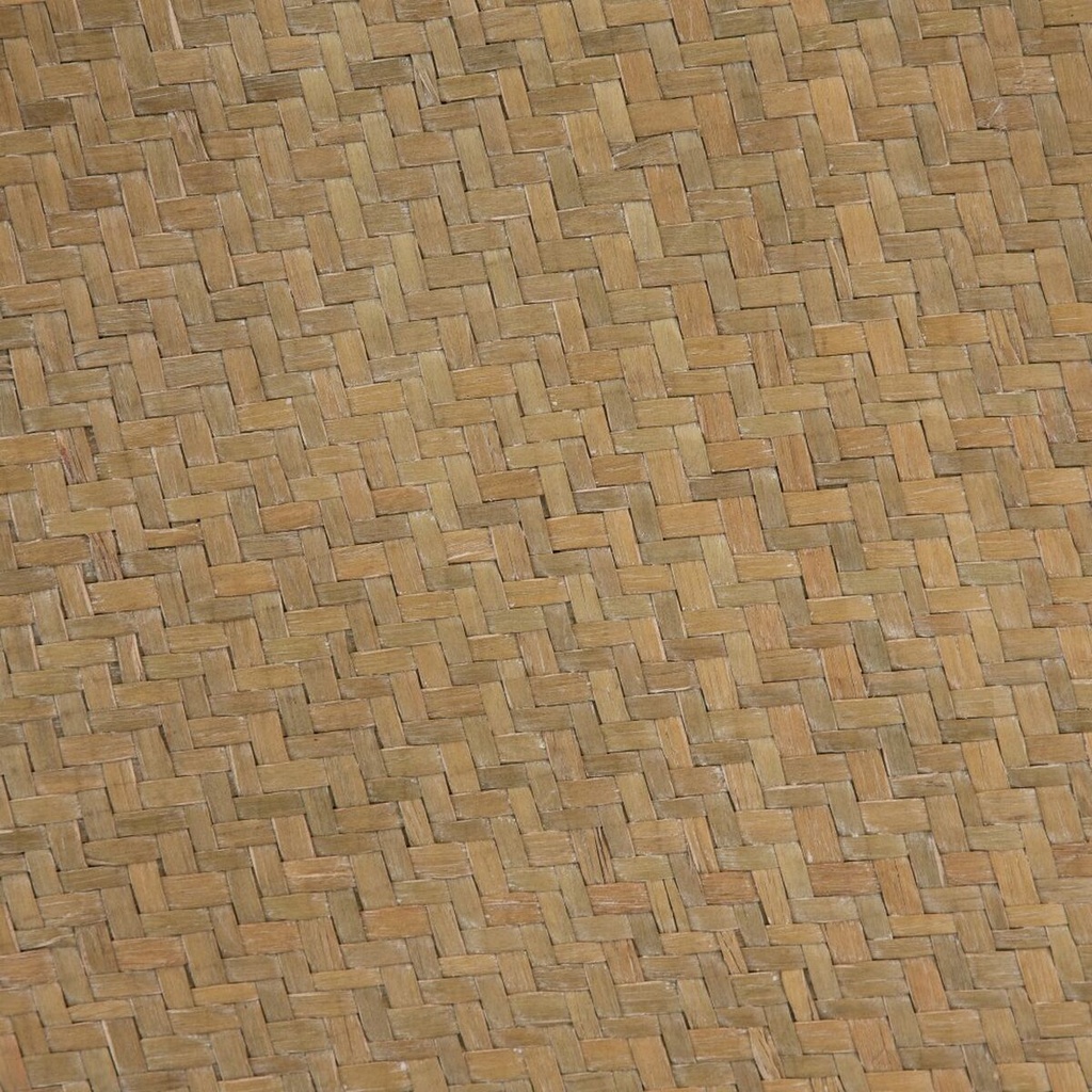 8445146045775_S8801356_P41