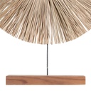 8445146044259_S8801295_P31