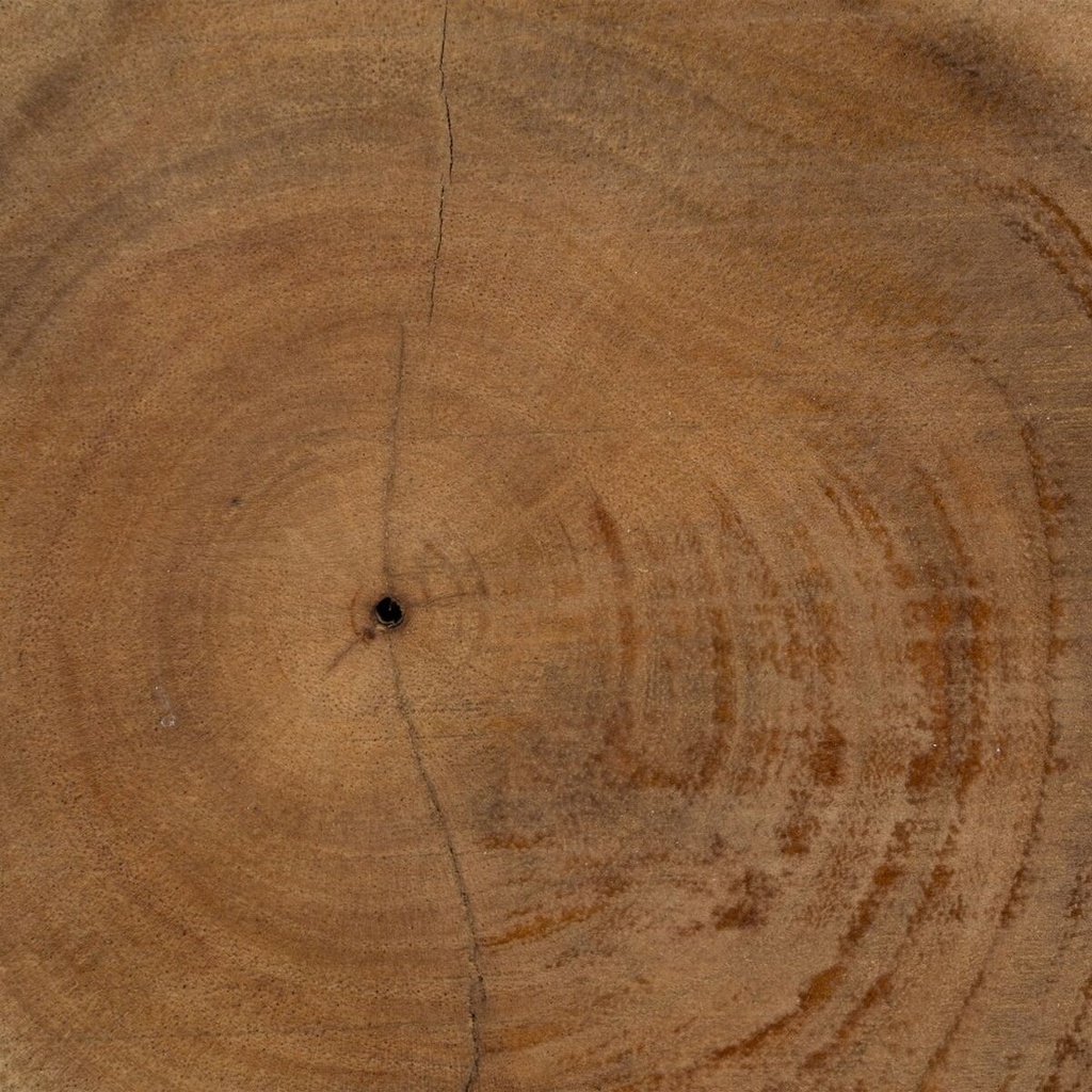 8445146062574_S8802086_P41