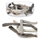 S3625046_59561_1689760111-cropped1