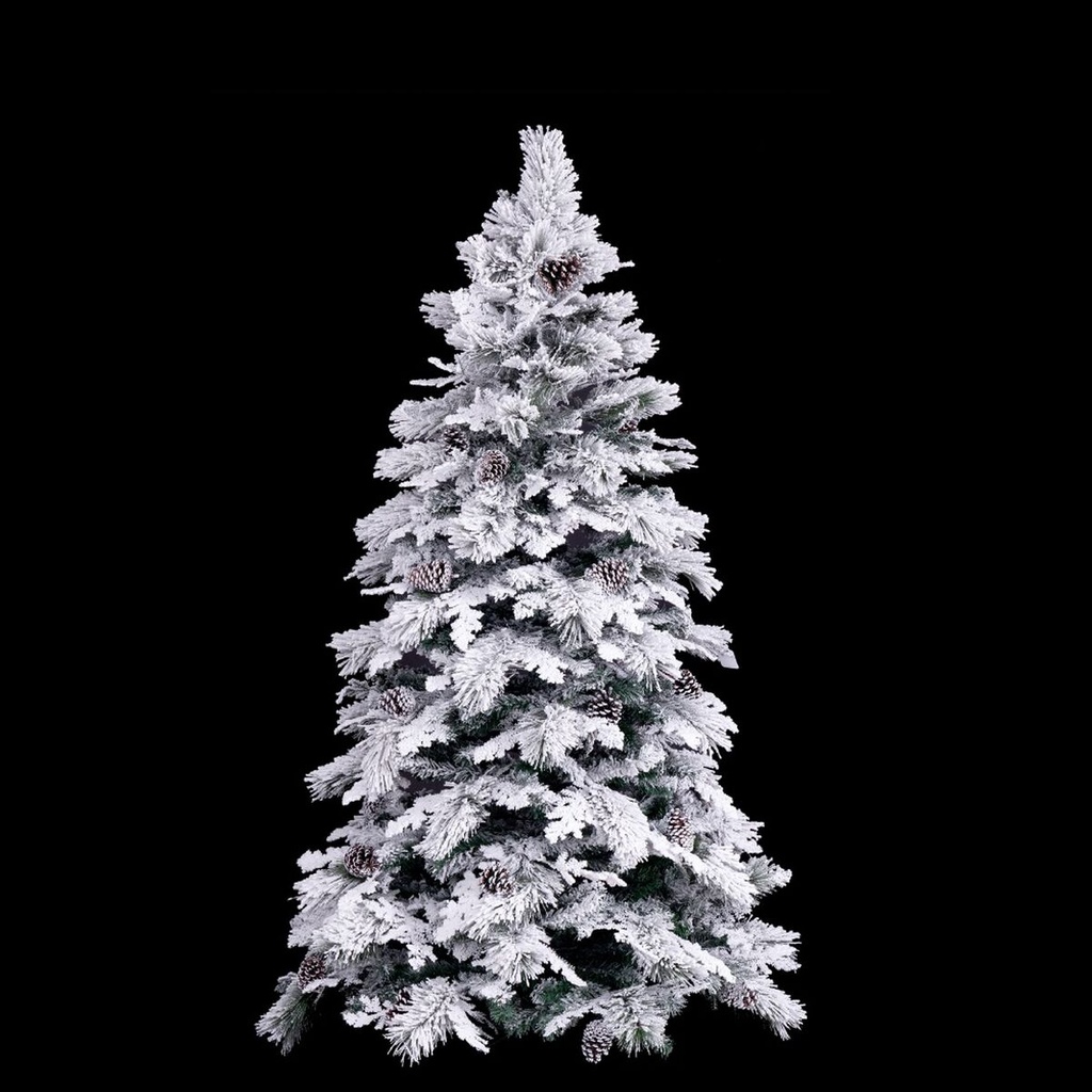 8424346185917_S8803588_P21