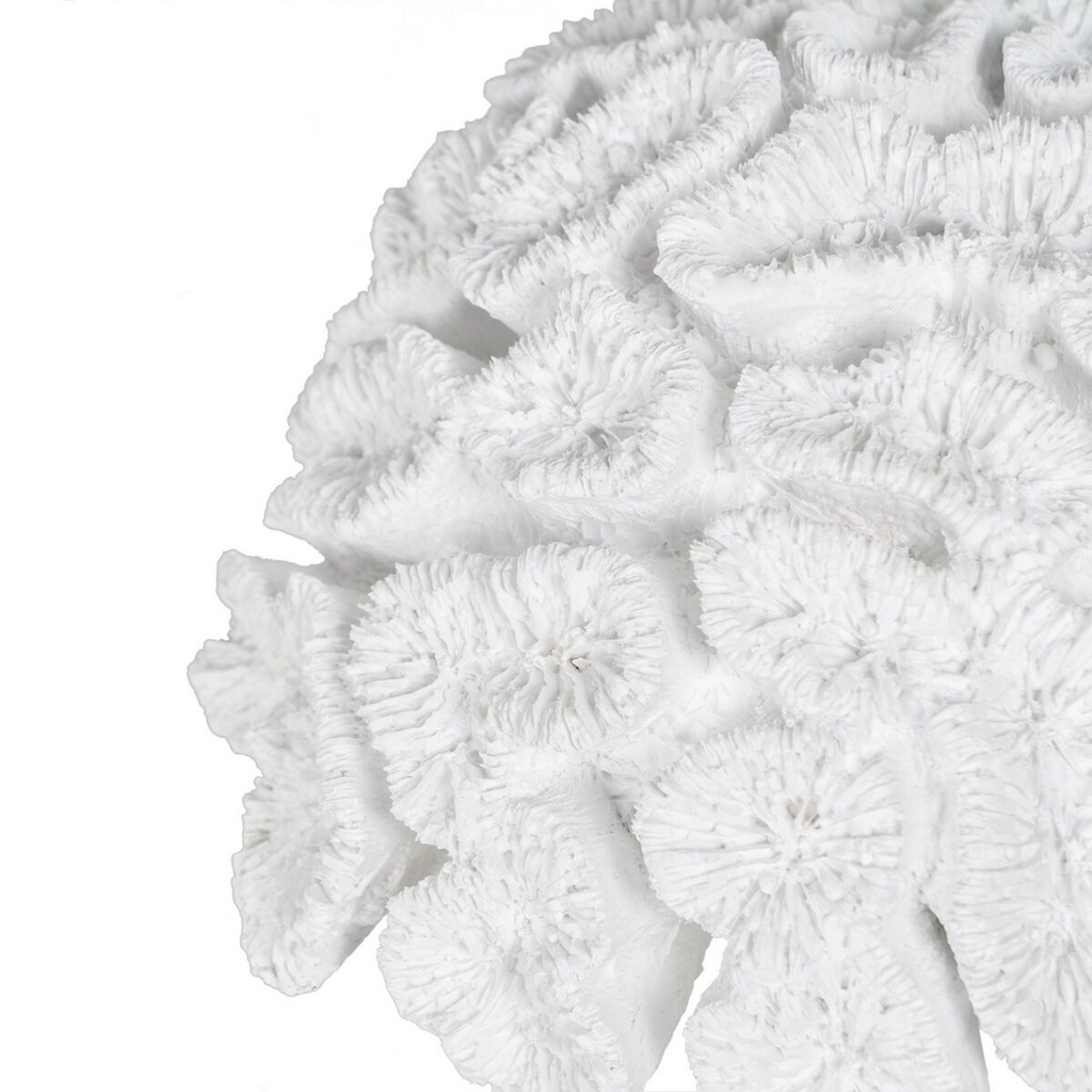 8445146109941_S8805375_P20