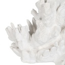 8445146110039_S8805420_P10