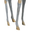 8445146098009_S8804802_P50