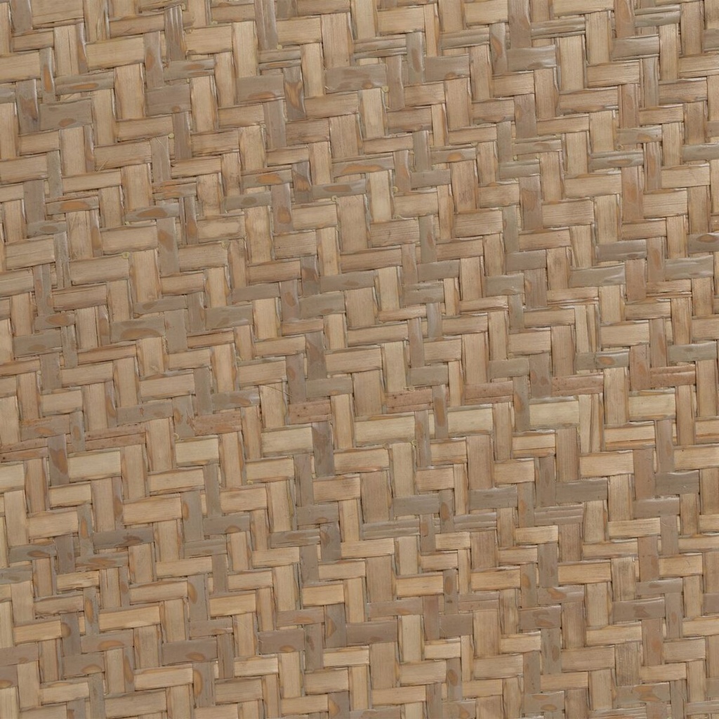 8445146101631_S8804924_P40