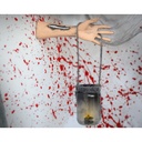 8422259748038_S1132663_P00