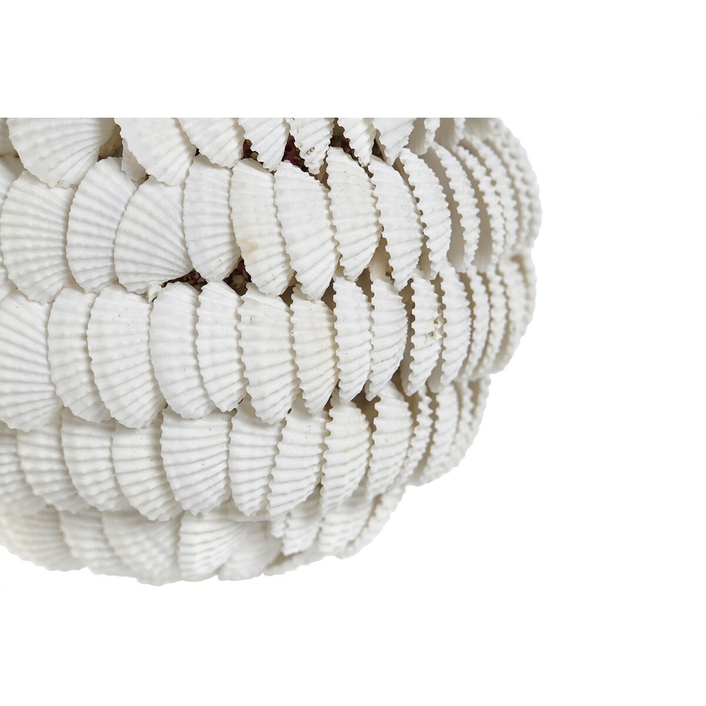 8424002108687_S3055449_P10