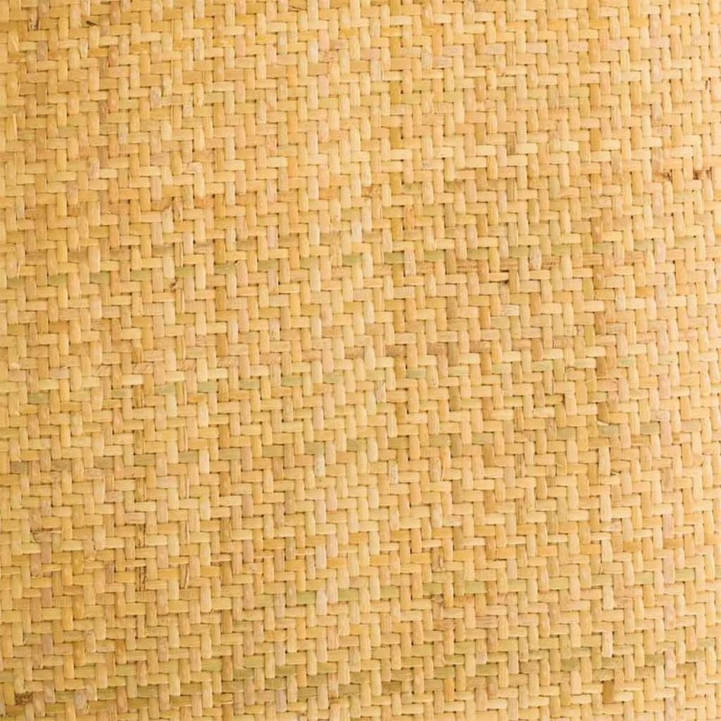 8434523318755_D1631241_P60
