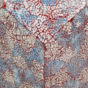 8434523250512_D1630511_P31