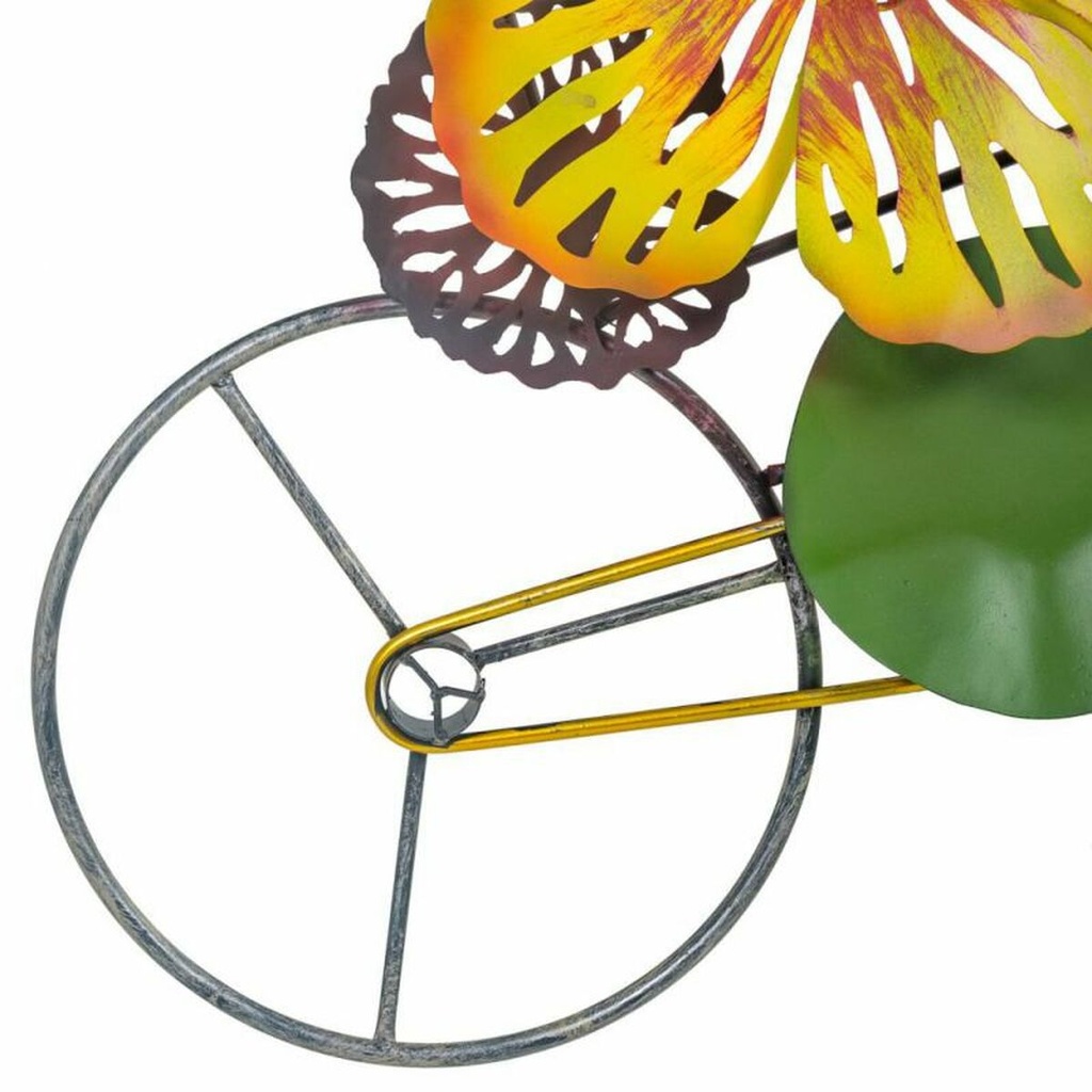 8434523217751_D1629995_P31