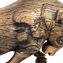 8434523231443_D1630186_P51