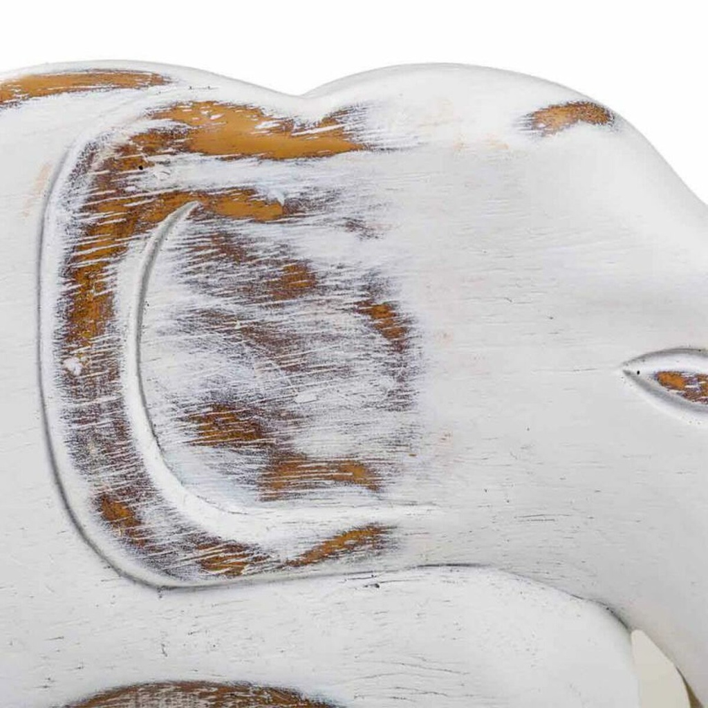 8434523231245_D1630182_P61