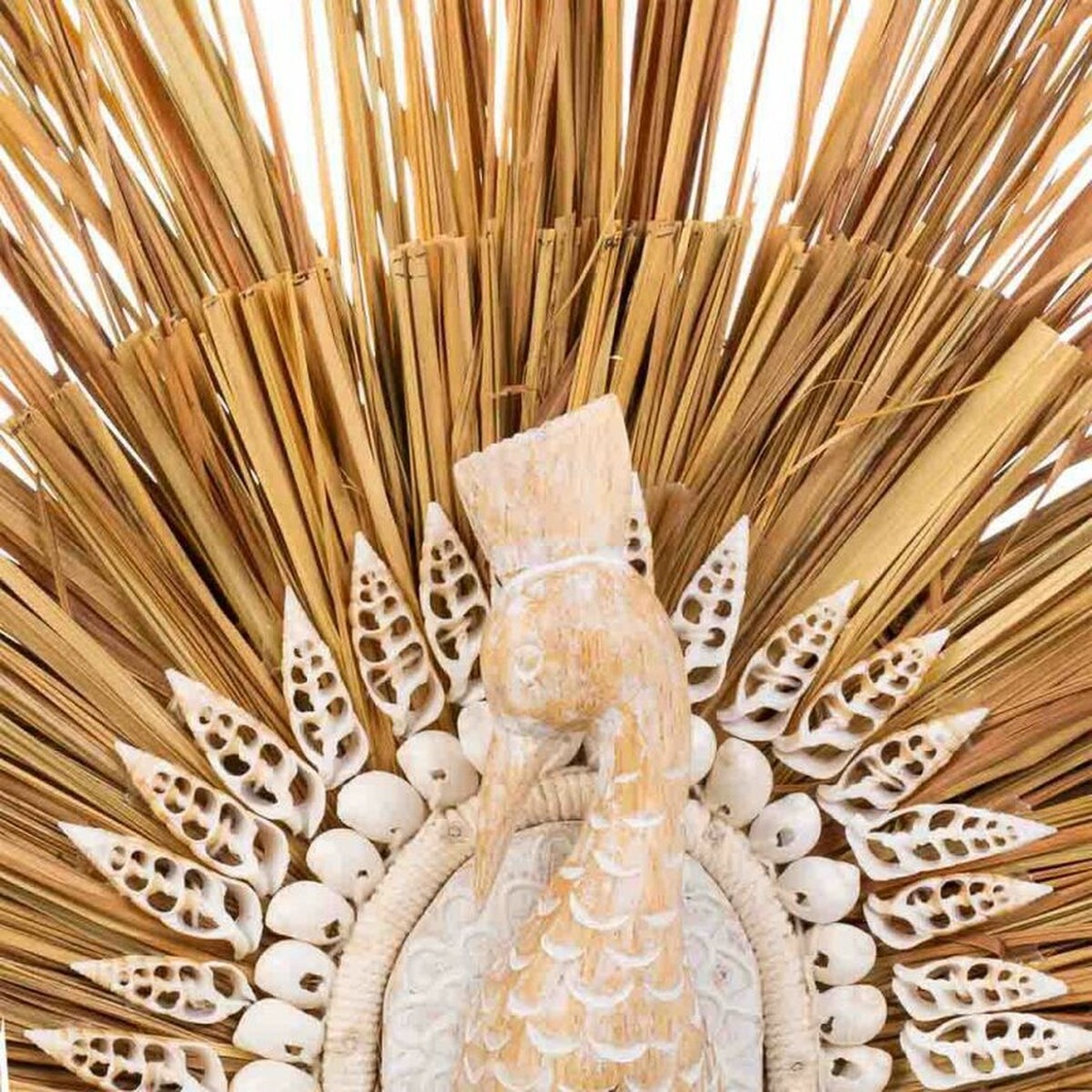 8434523251199_D1630535_P31