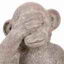 8434523315884_D1631027_P21