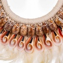 8434523252011_D1630531_P50