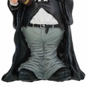 8434523248298_D1630483_P41