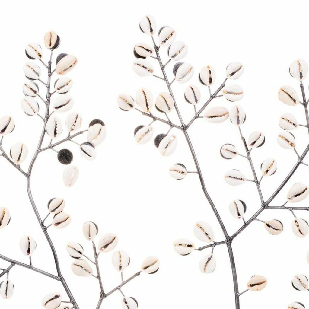 8434523251373_D1630549_P51