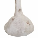 8434523237896_D1630276_P41