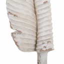 8434523237896_D1630276_P31