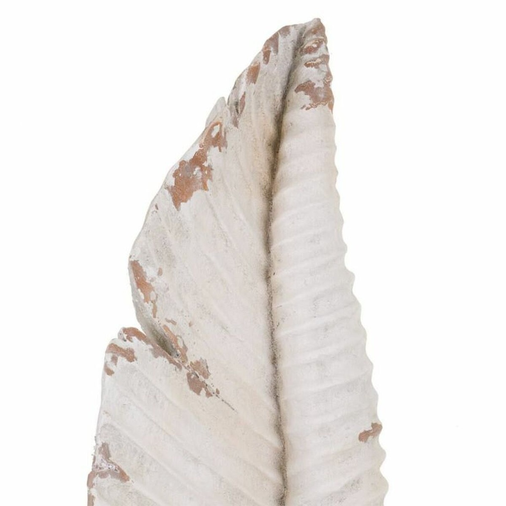 8434523237896_D1630276_P21