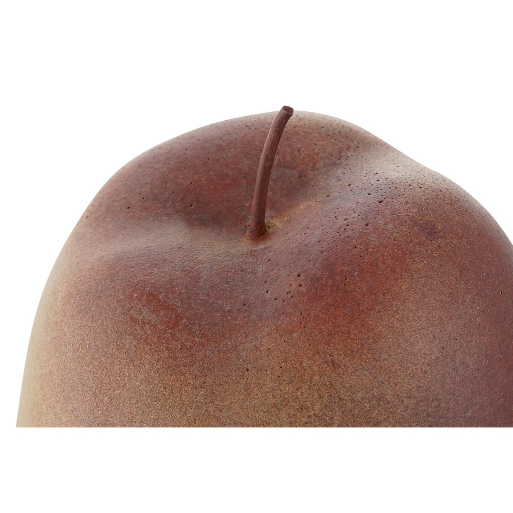 8424002132675_S3056502_P00