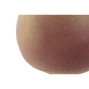 8424002132682_S3056503_P10