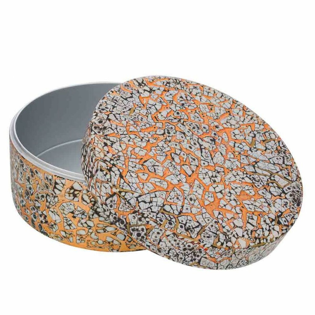 8434523251151_D1630528_P31