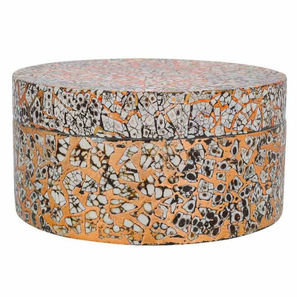 8434523251151_D1630528_P21