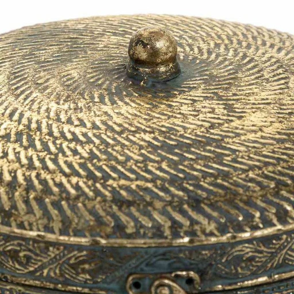 8434523350991_D1632335_P51