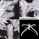 8424345579632_S8806676_P10