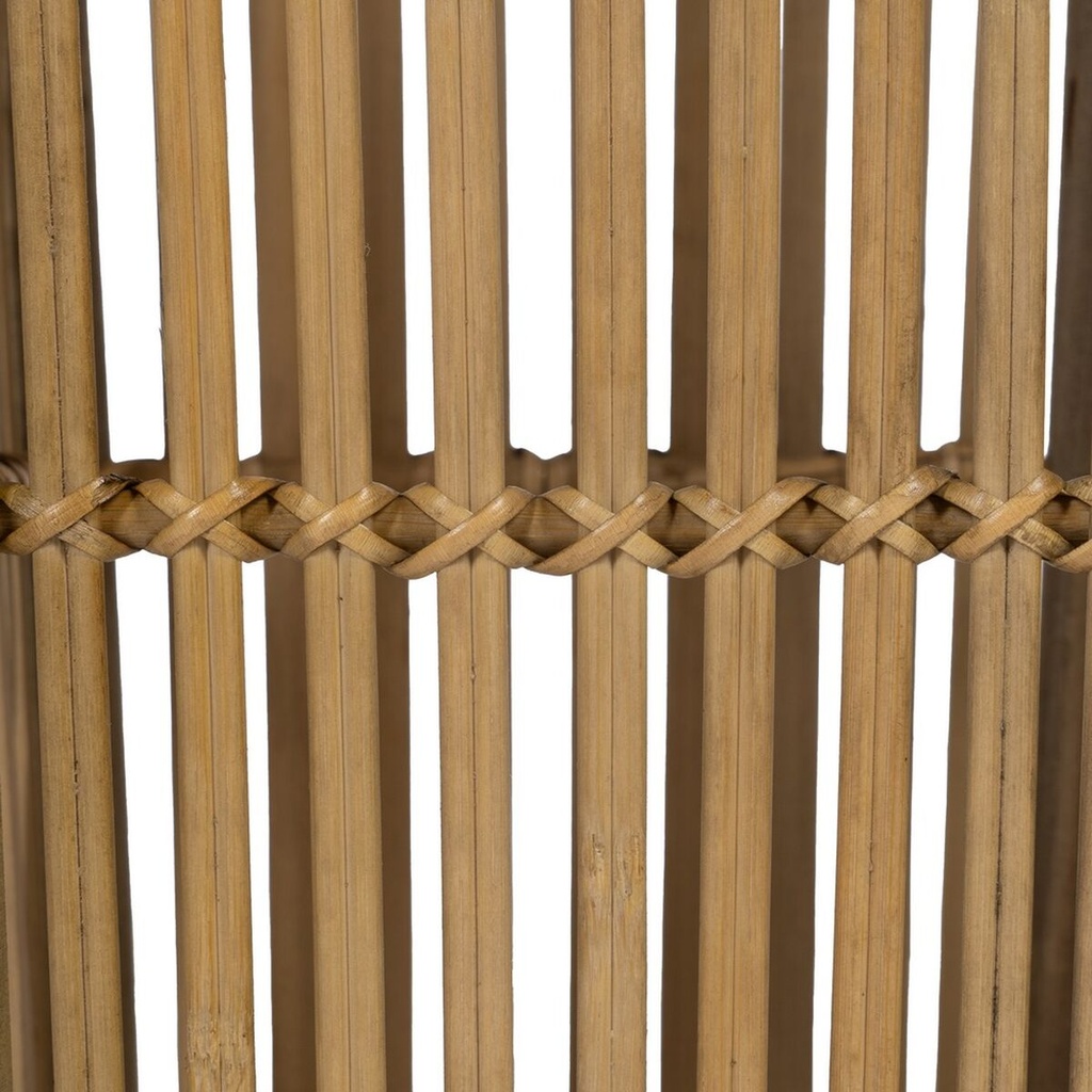 8445146115171_S8806367_P40