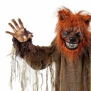 8435435093839_S2449488_P20