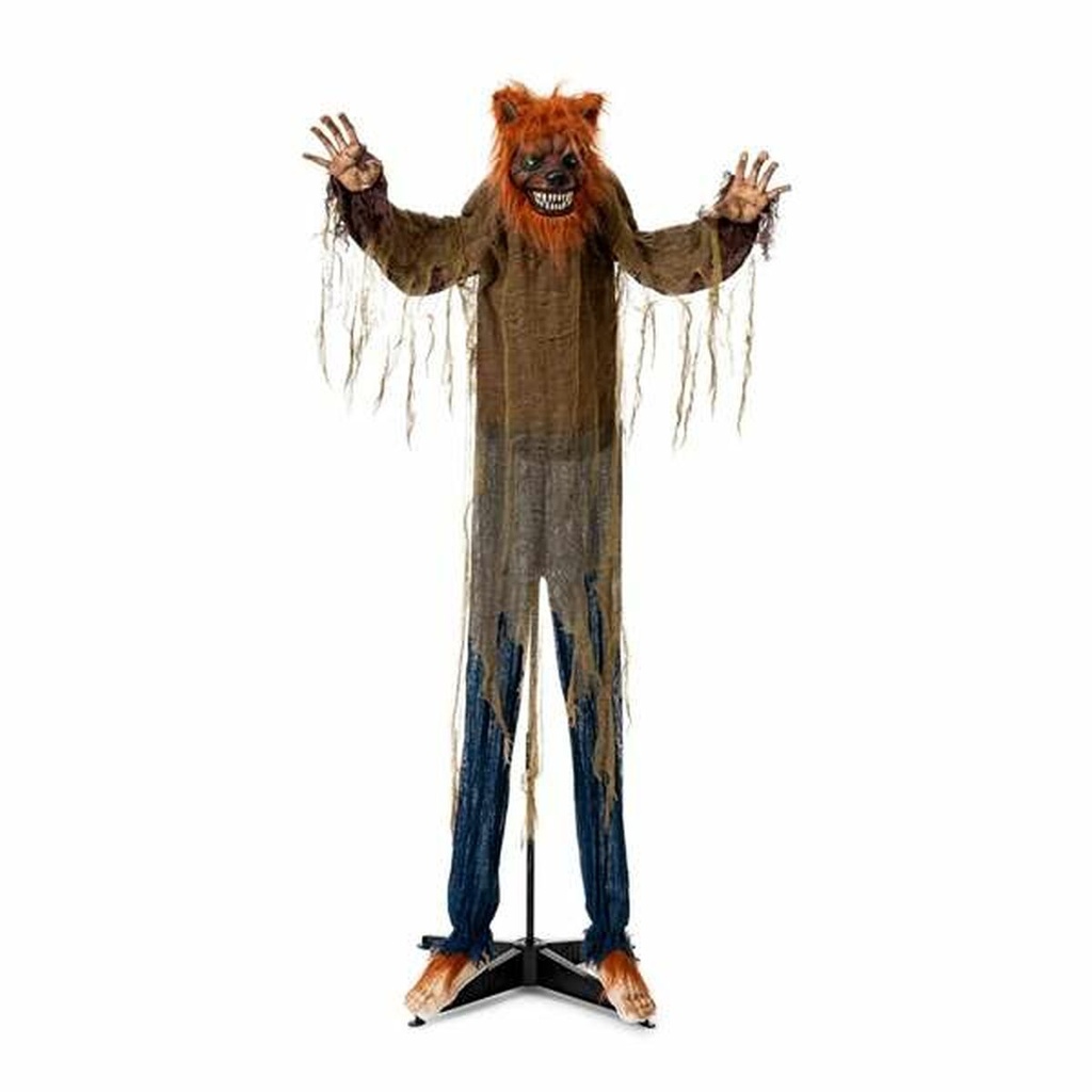 8435435093839_S2449488_P10