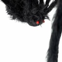 8435435093587_S2449475_P20