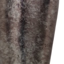 8445146077042_S8807323_P30