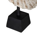 8445146077189_S8807294_P50