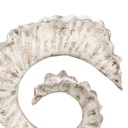 8445146077189_S8807294_P30