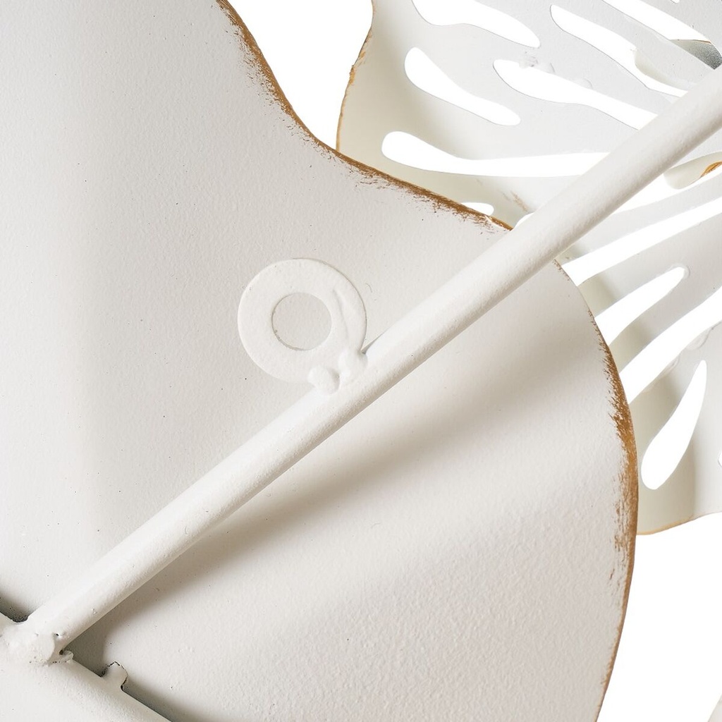 8445148028868_S8807479_P40