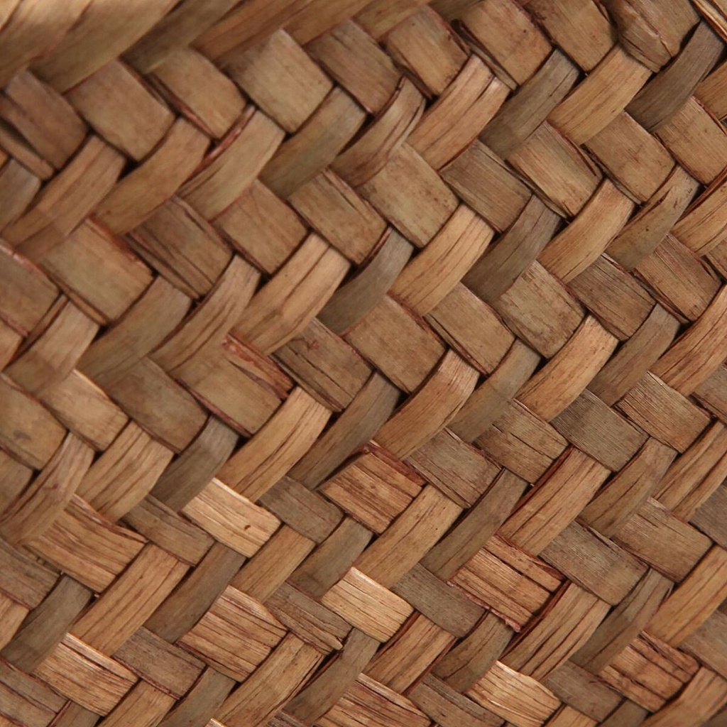 8420327556868_S3413171_P10