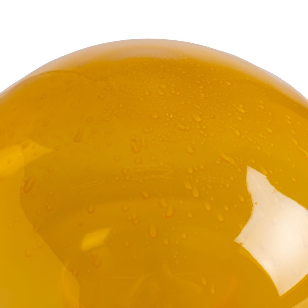 8445146141736_S8807939_P20