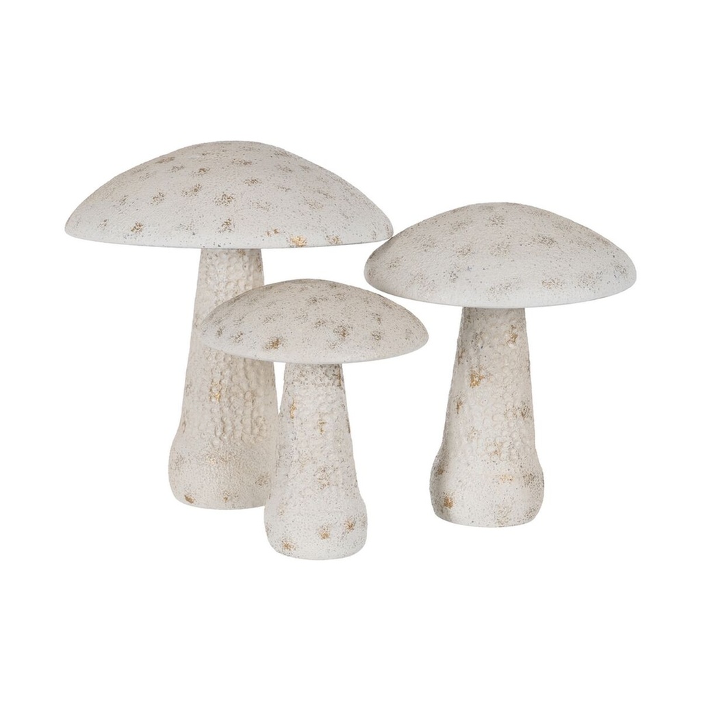 8445146138668_S8808028_P10