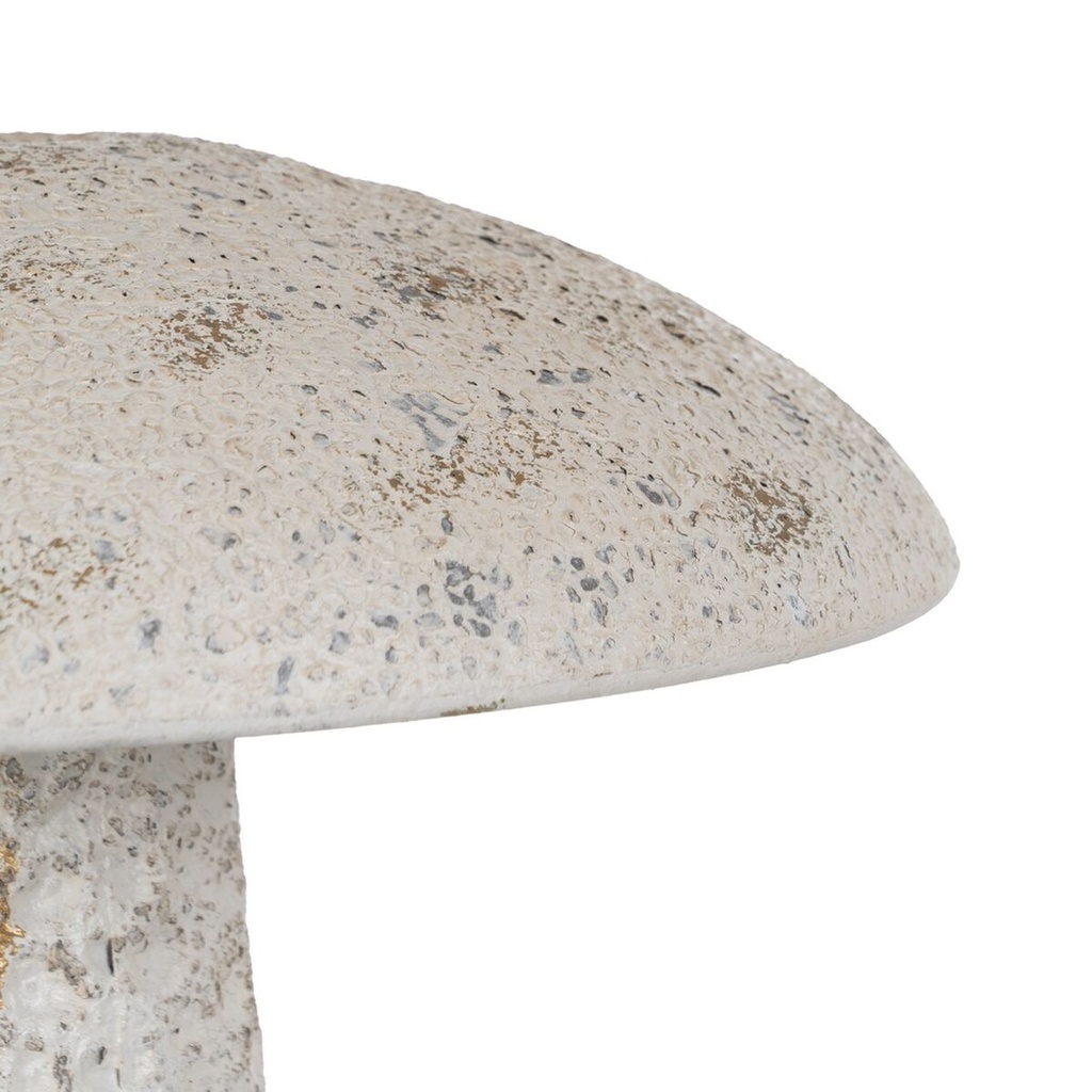 8445146138668_S8808028_P30